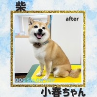 画像5396