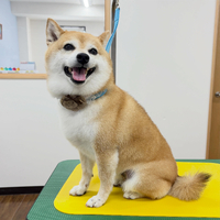 画像5397