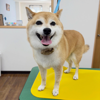 画像5398