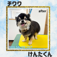 画像5414