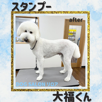 画像5420