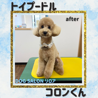 画像5426