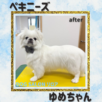 画像5451