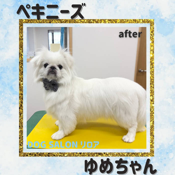 画像5451