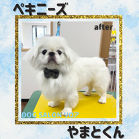 画像5463