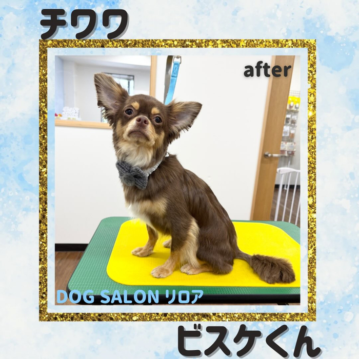 画像5469