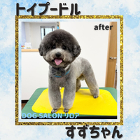 画像5475
