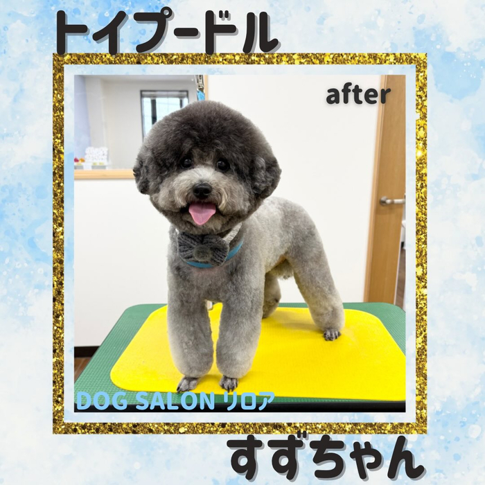 画像5475