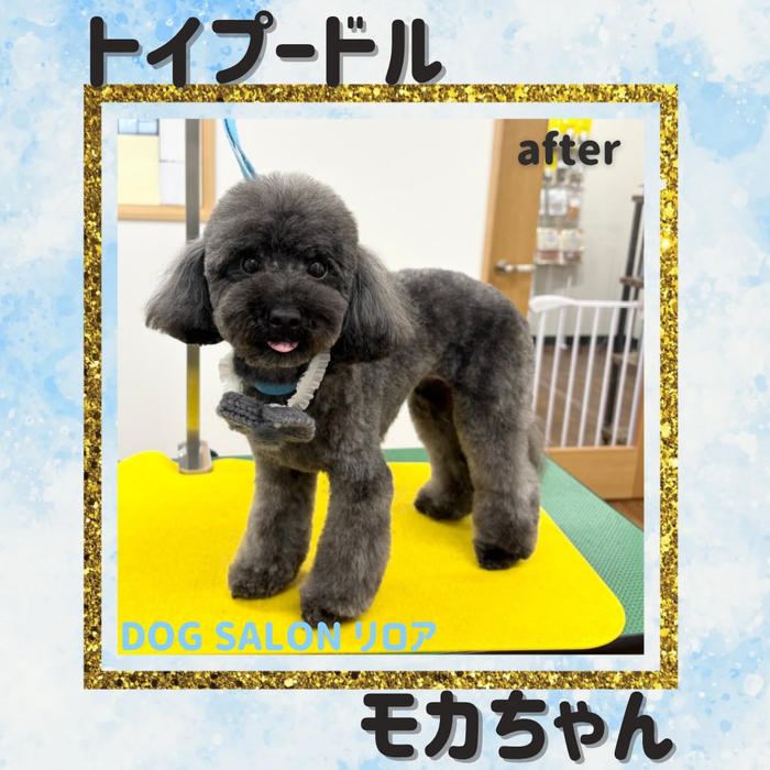 画像5481