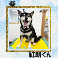 画像5488