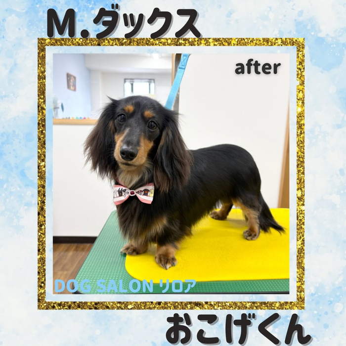 画像5495