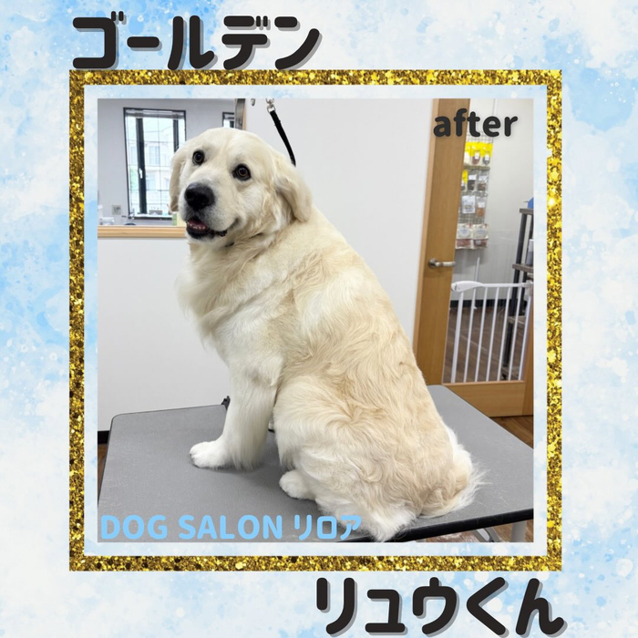画像5507