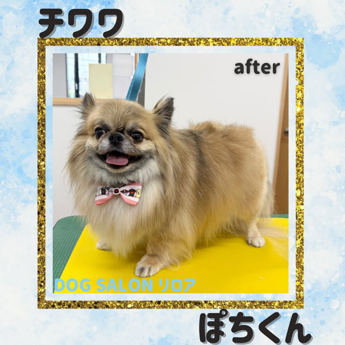 画像5514