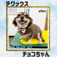 画像5532