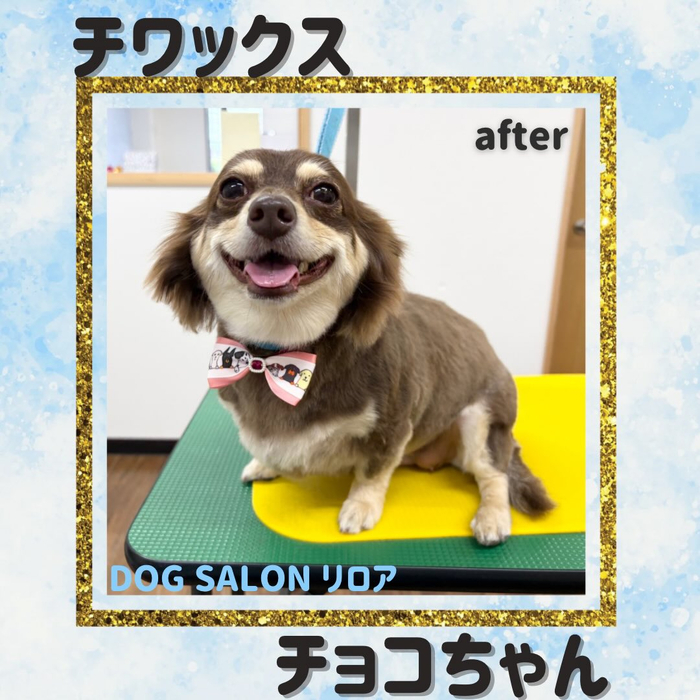 画像5532