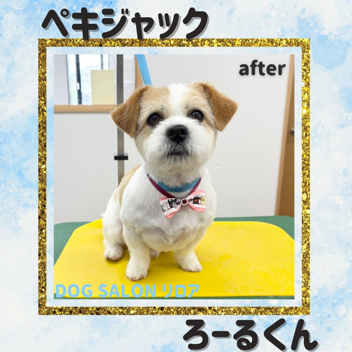 画像5551