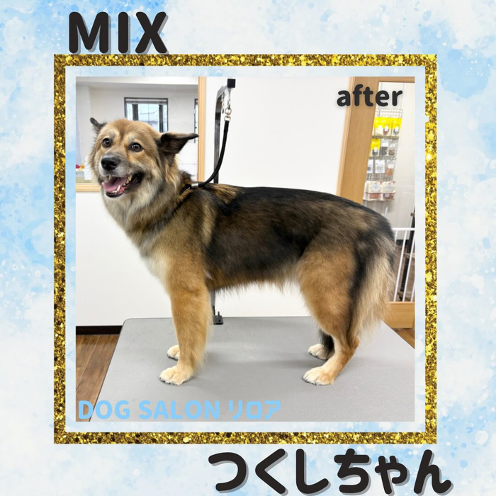 画像5557