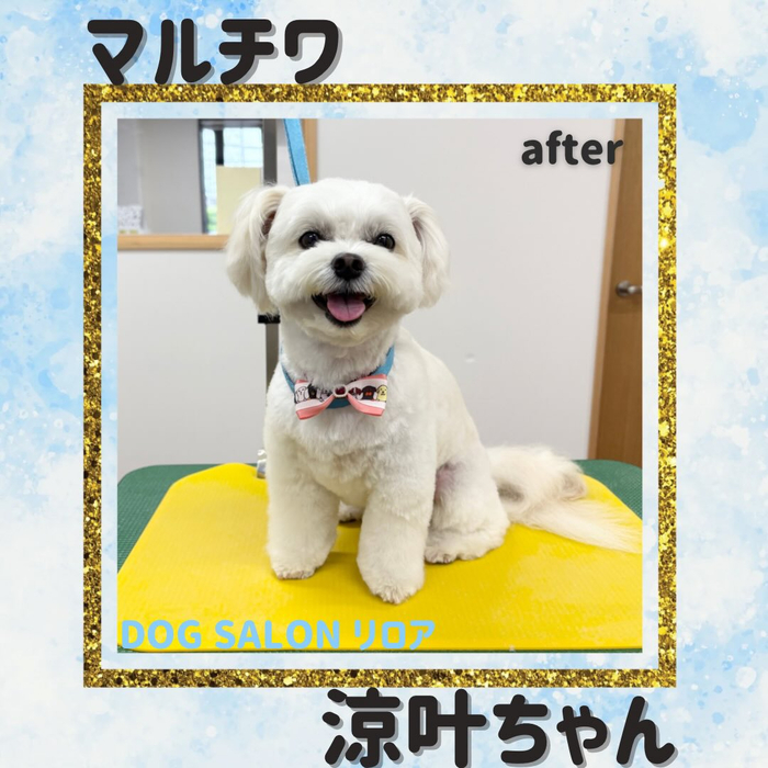 画像5564