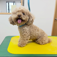 画像5574