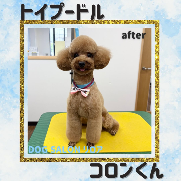 画像5583