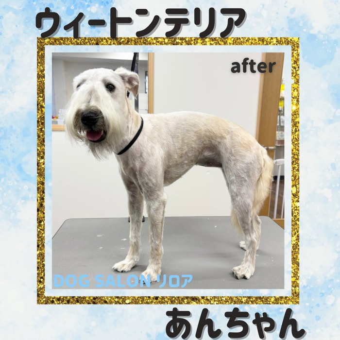 画像5596