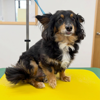 画像5607