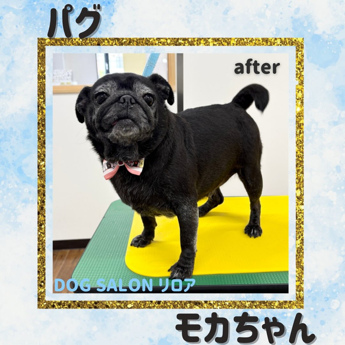 画像5615