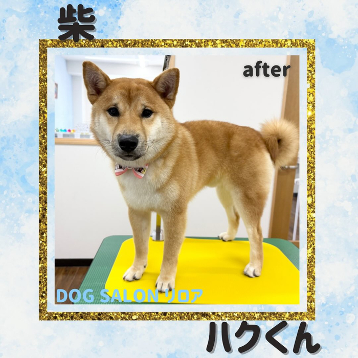 画像5622