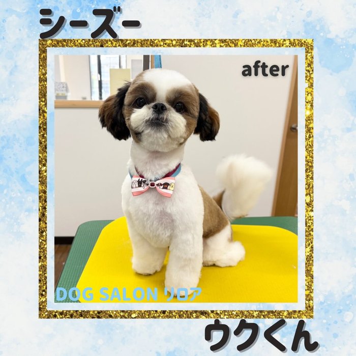 画像5629