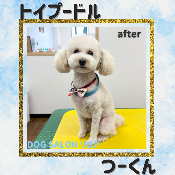 画像5636