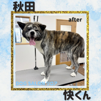 画像5643
