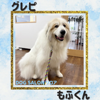 画像5668