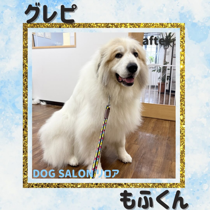 画像5668