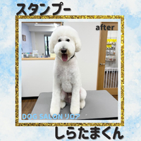 画像5674