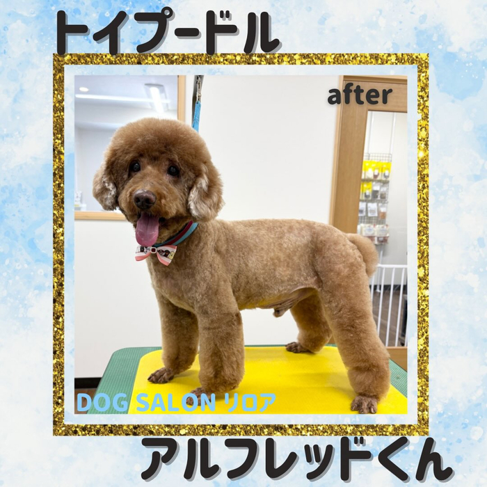 画像5681