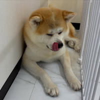 画像569