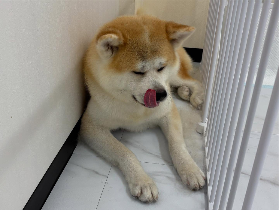 画像569