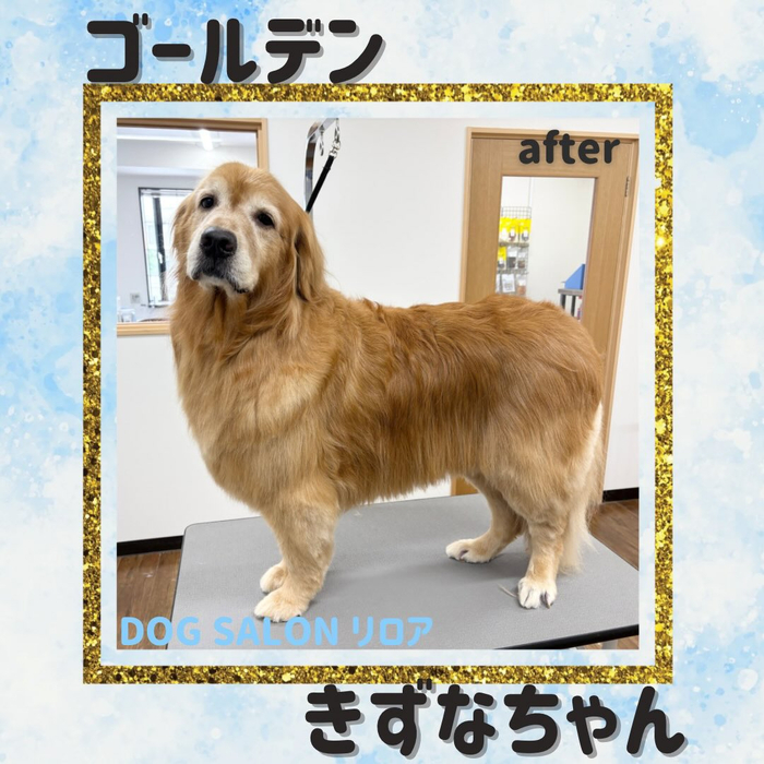 画像5700