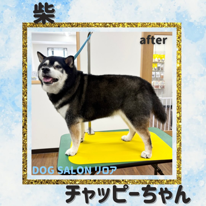 画像5713