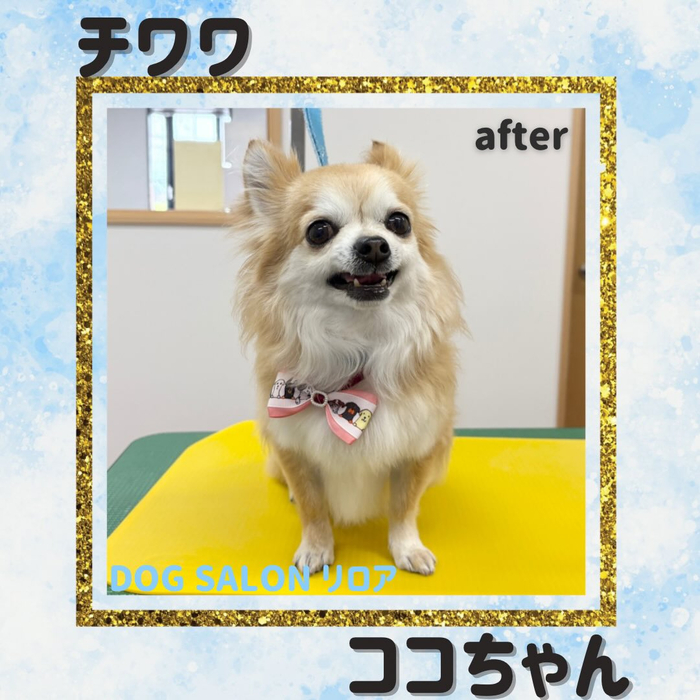 画像5719