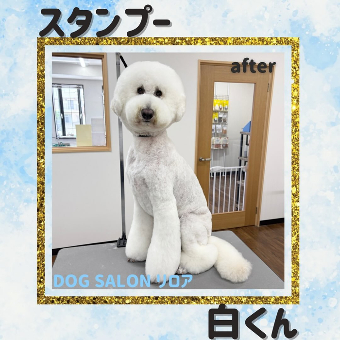 画像5726