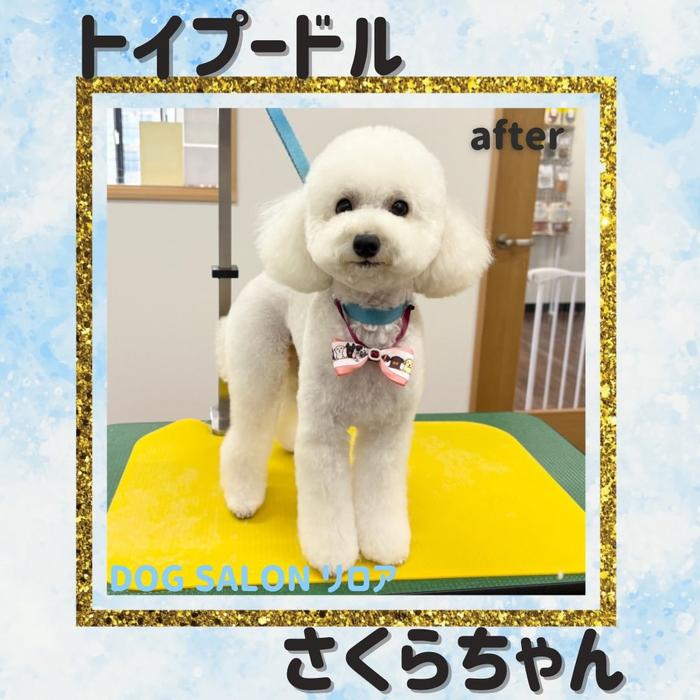 画像5733