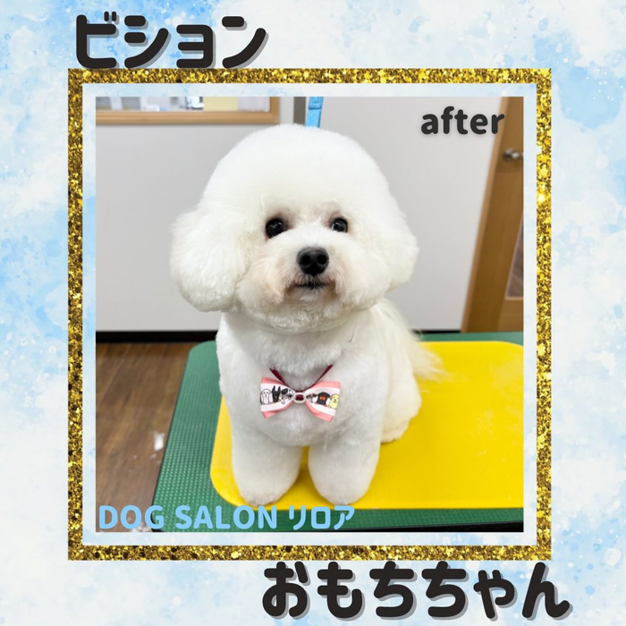 画像5764
