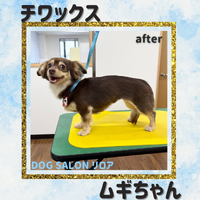画像5770