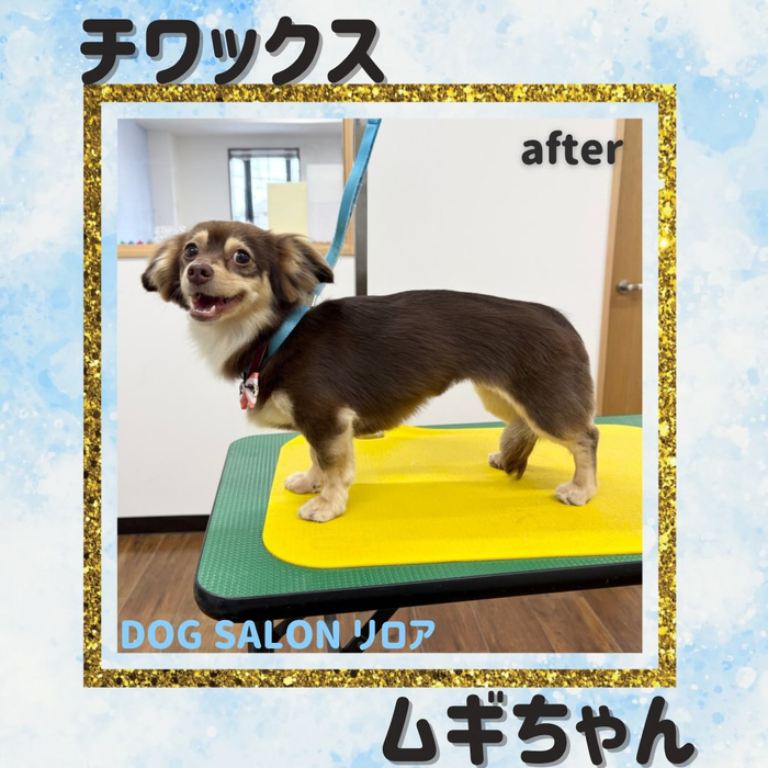 画像5770