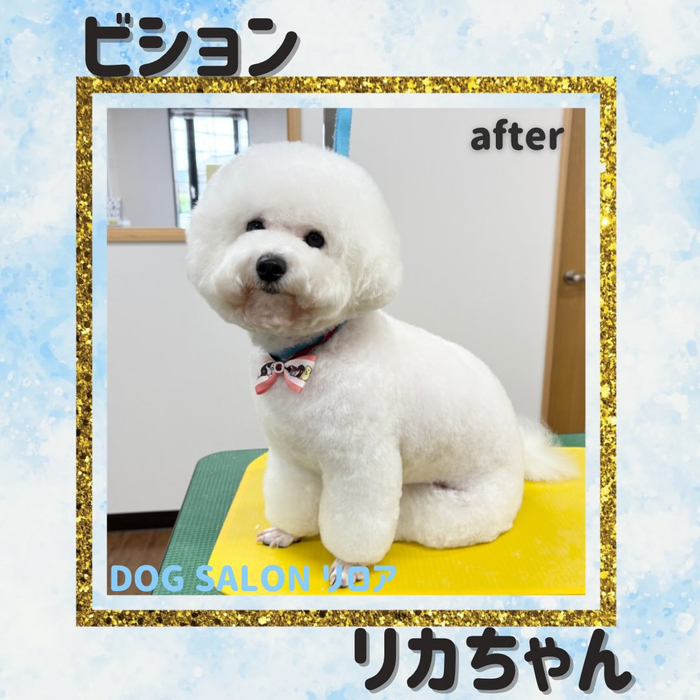 画像5813