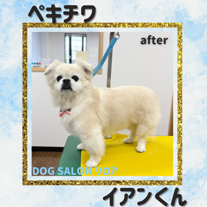 画像5819