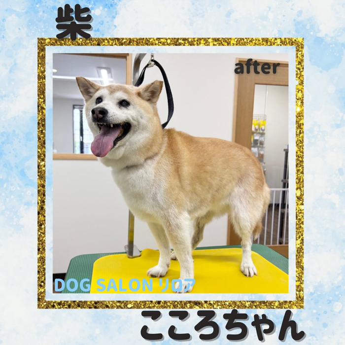 画像5837