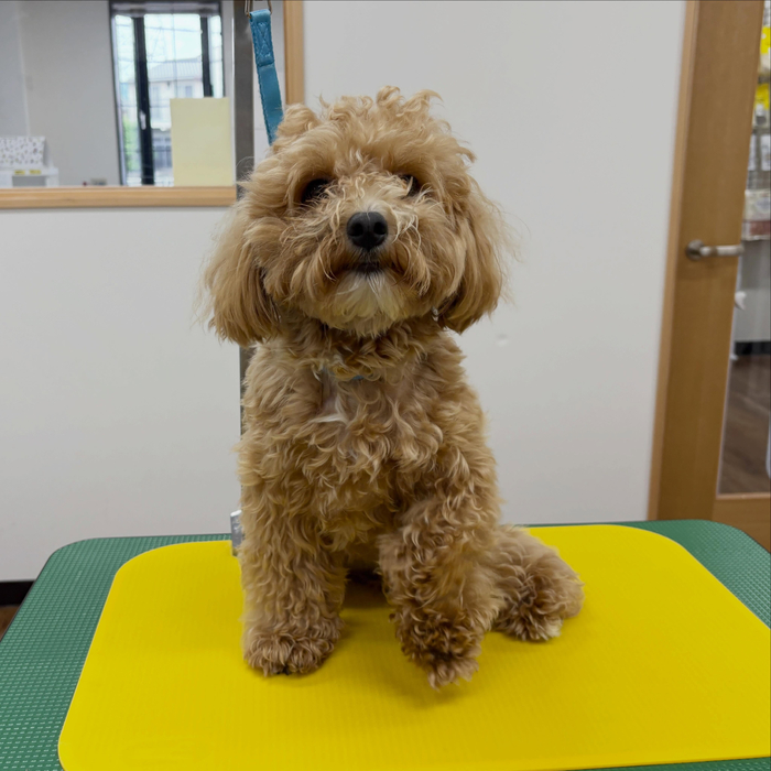 画像5846