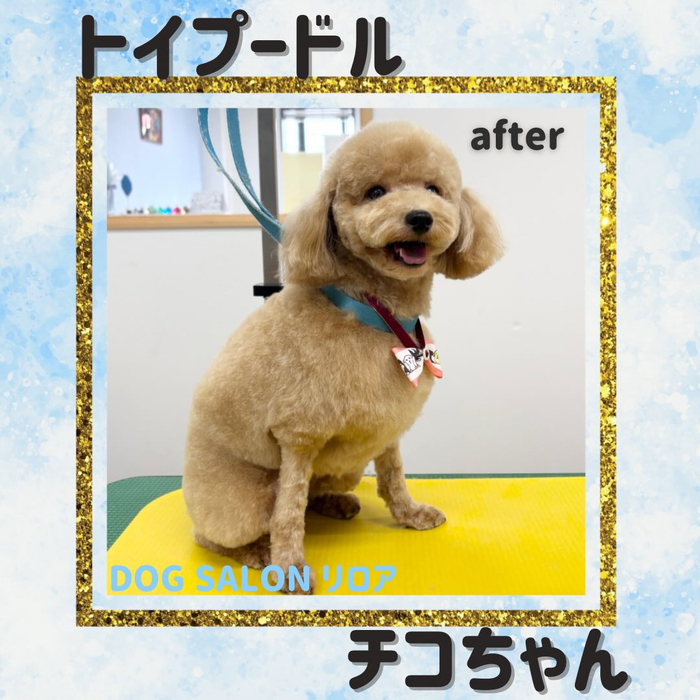 画像5849